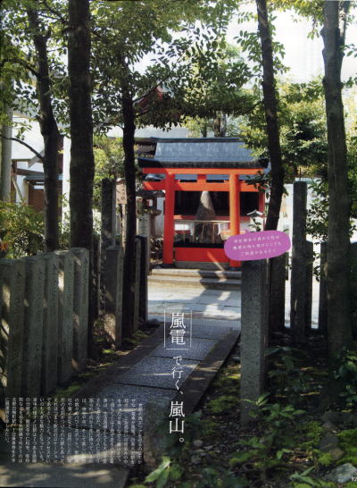 掲載情報